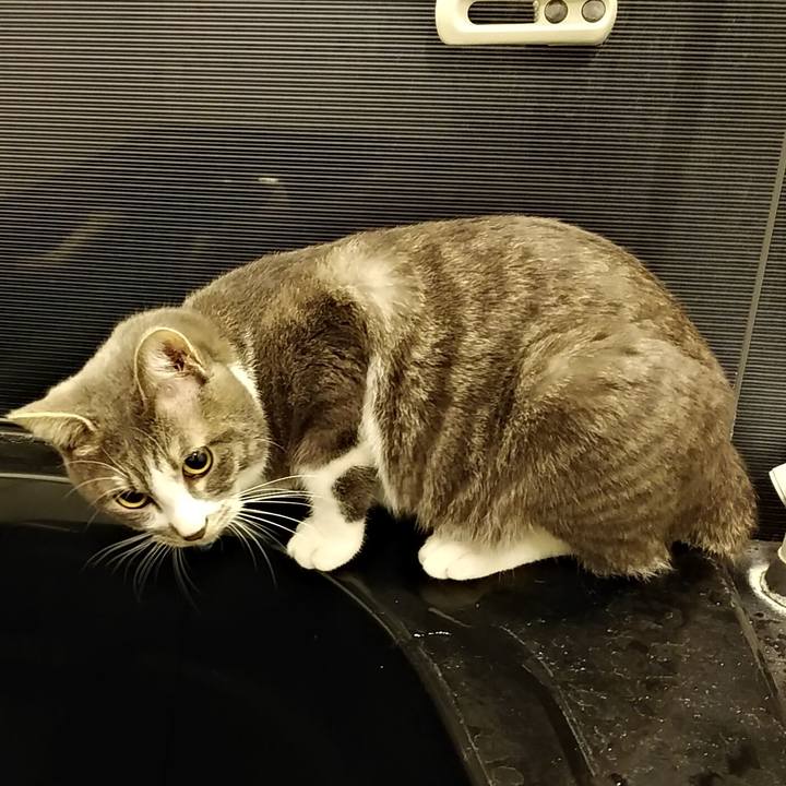 F090d279 7cc9 42a6 86a1 0cf3aec7c67f 1585661507472