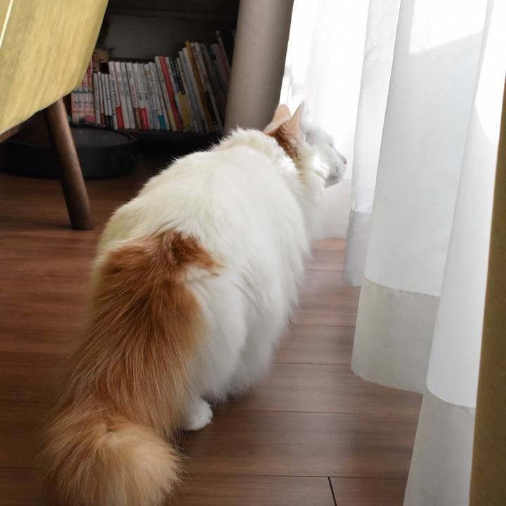 F090e41f 580d 4fea b9ed bfd8f0bc6b32 1763005145781