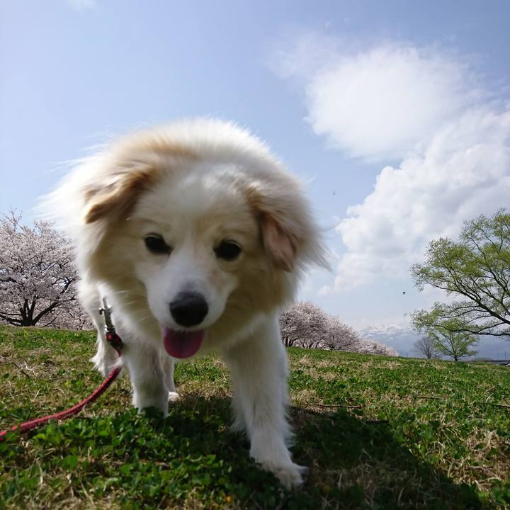 F0911815 428c 4da7 9e5f 5590276f8789 1522833665197