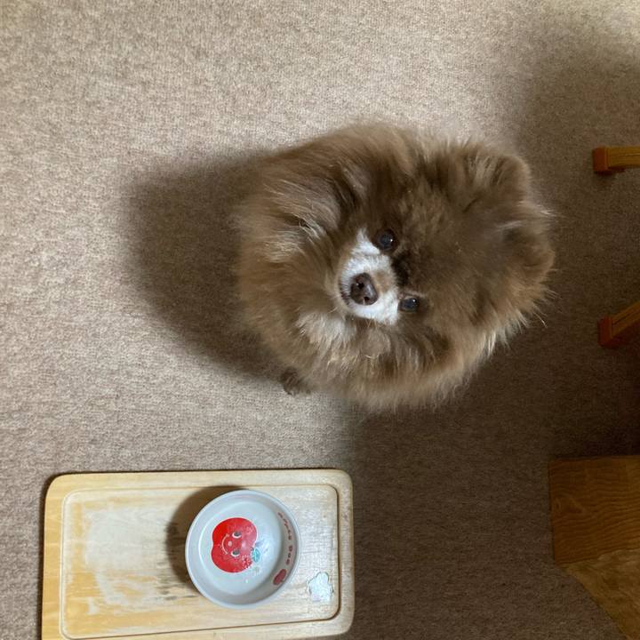 F0912df7 ea3a 4f01 8bff 5eb452f082b8 1733177232342