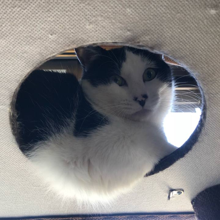 F091360f 0398 40cb 88b2 5d3b5500567b 1553655898395