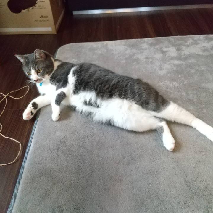 F0913cb4 05e5 4932 9a95 3d6c45568bde 1607144405492