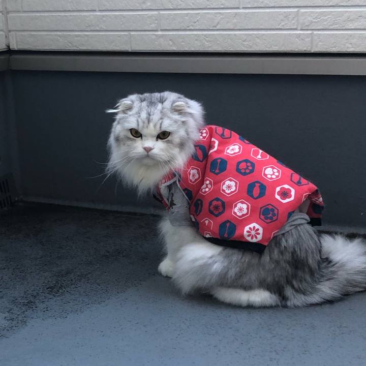 F091cce5 389d 4907 8437 ae9af58515a2 1635372148902