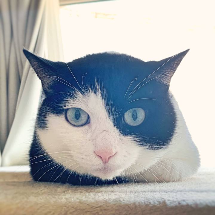 F091f089 dfdd 414f 9777 86e5de97339f 1565041830025