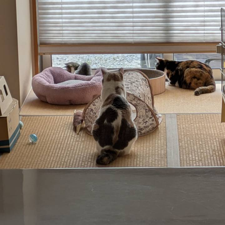 F09203dd a1dd 4bac 9db0 595d81a9fc91 1721385168579