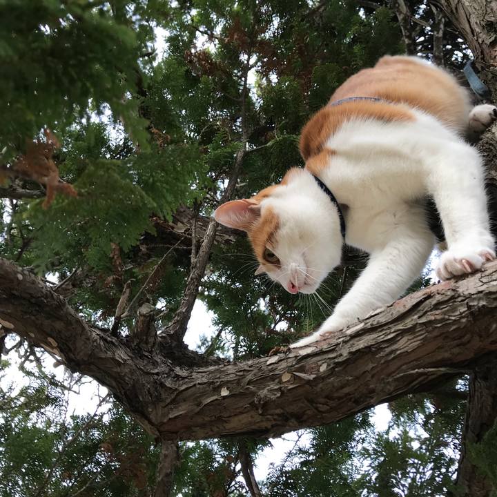 F092120b 238f 4946 a729 af842394ed30 1511332788864