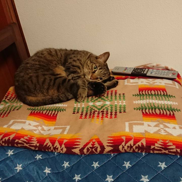 F09294c4 e851 46a2 85d6 5cd163410582 1571128733483