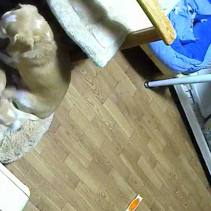 F092a64e bc30 47f2 beea 79c270f99bca 1666948556990