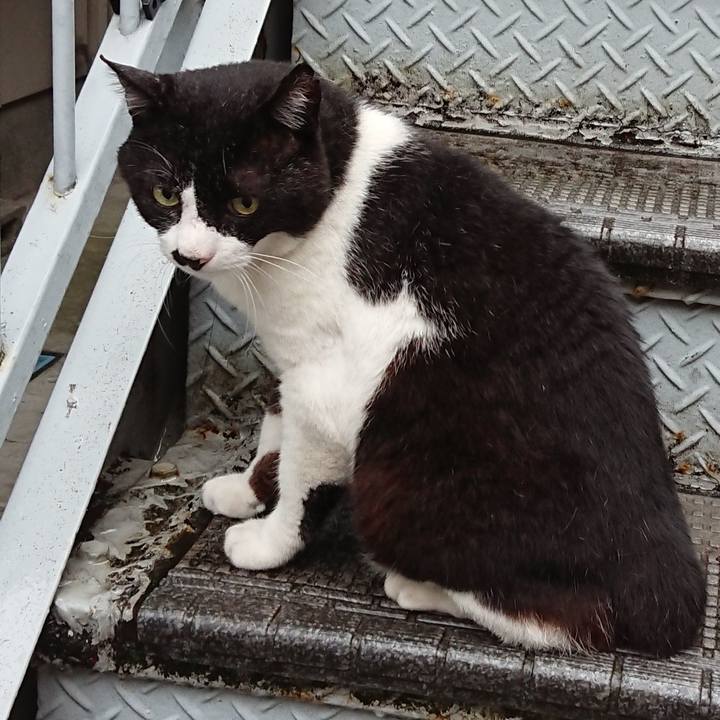 F092b126 9da6 4dd4 9faf ac4512d271c6 1592004900995