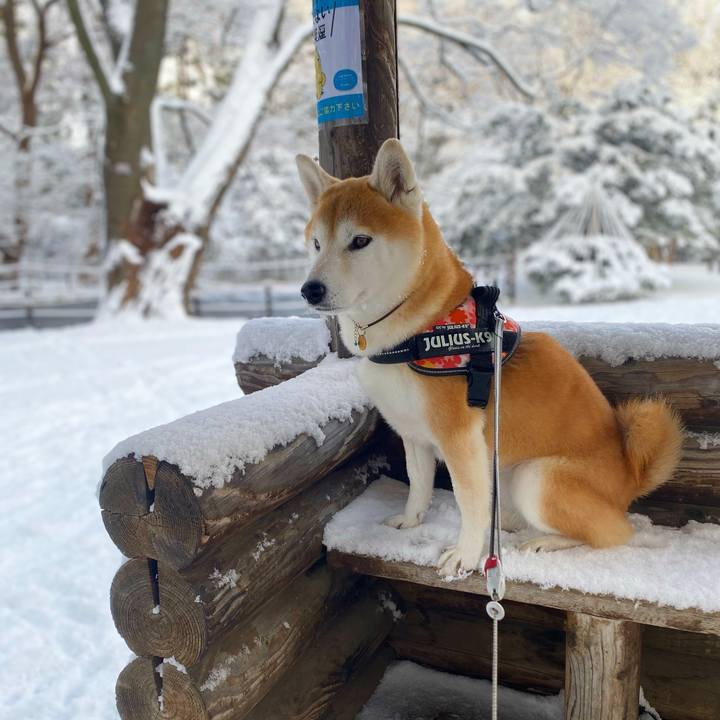 F092ea8a a299 42de bf69 d6635ed92cf2 1639452038819