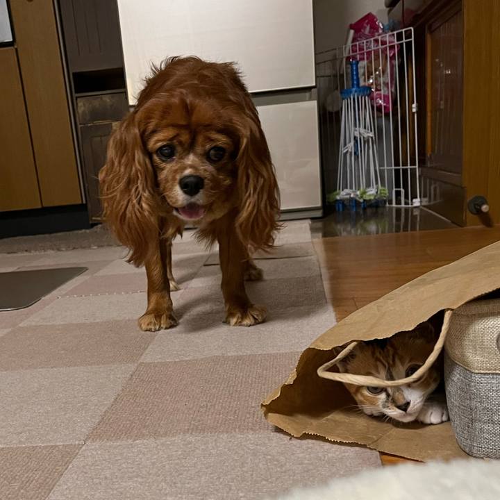 F0939d6b 7910 4371 9a0e bfe6492326fb 1655677778537