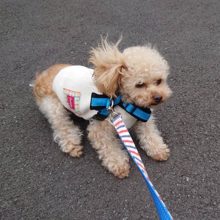 F093b82b dcd5 4632 a2ff 69deae55d3ce 1774508743546