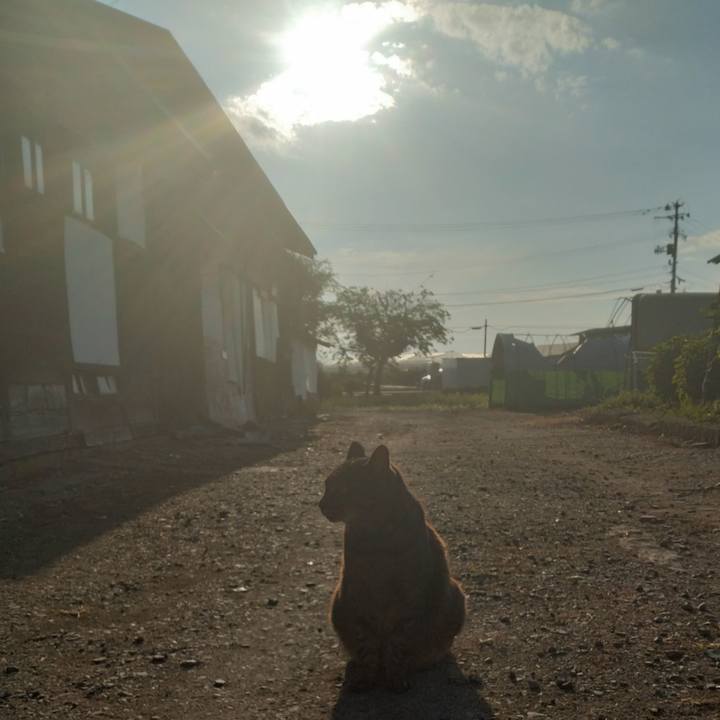 F093e105 a4e4 4391 bd56 5bb4fd79f5a4 1752962234929