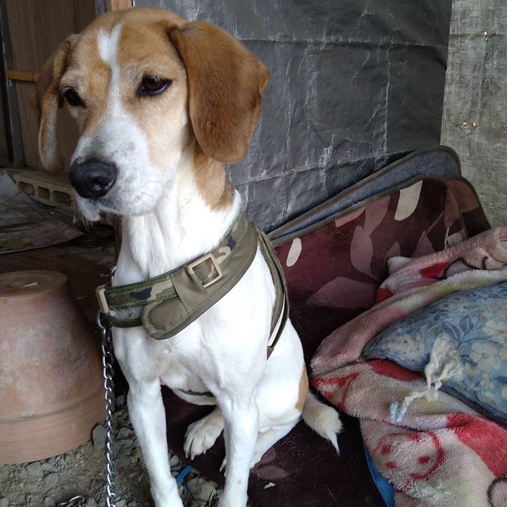 F0945a28 c2ef 44cc 9afb fe50ae69da32 1674202885301