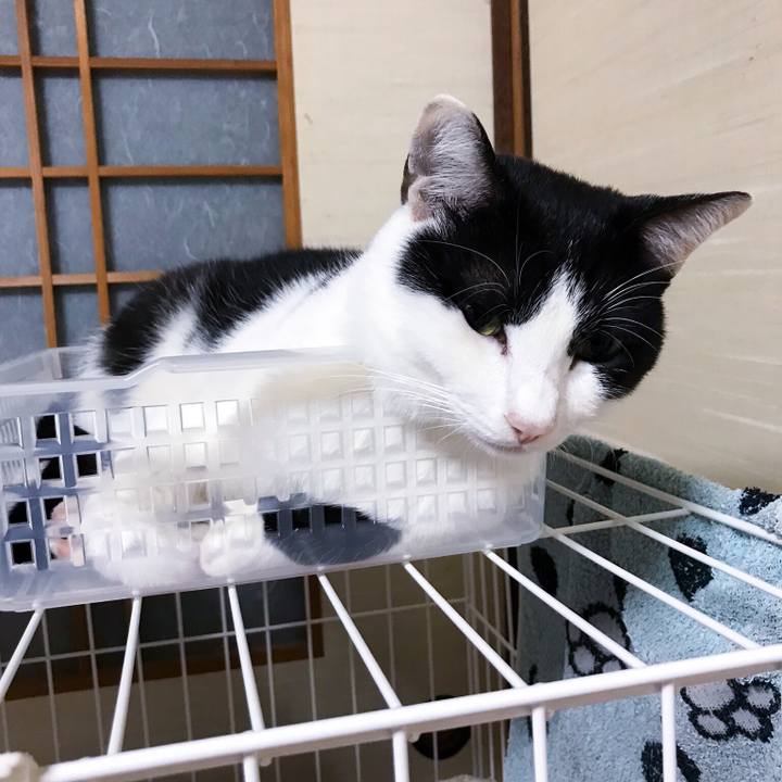 F0948e69 32f6 46c4 bd1f 2b5e78f37f4a 1510239537933