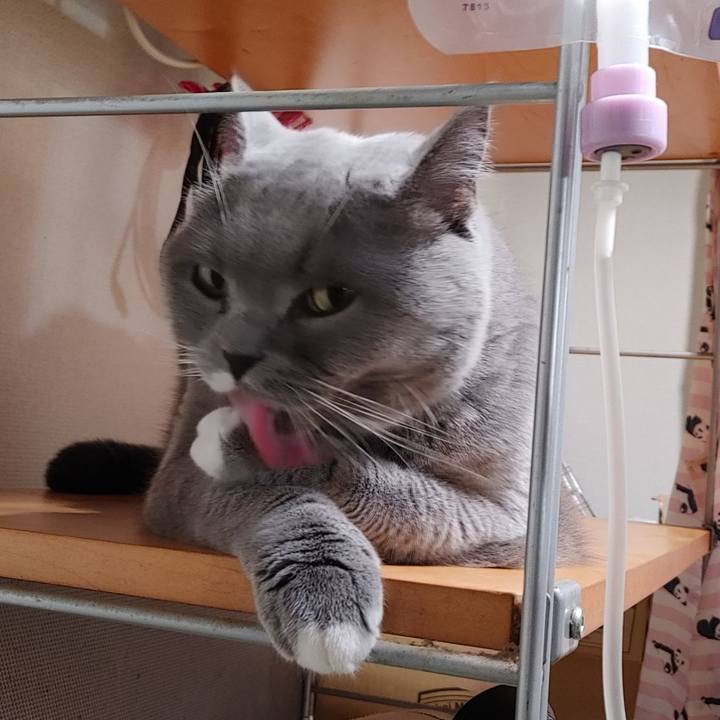 F094e3d5 b693 4dce a090 d49f74e8ef22 1628163199106