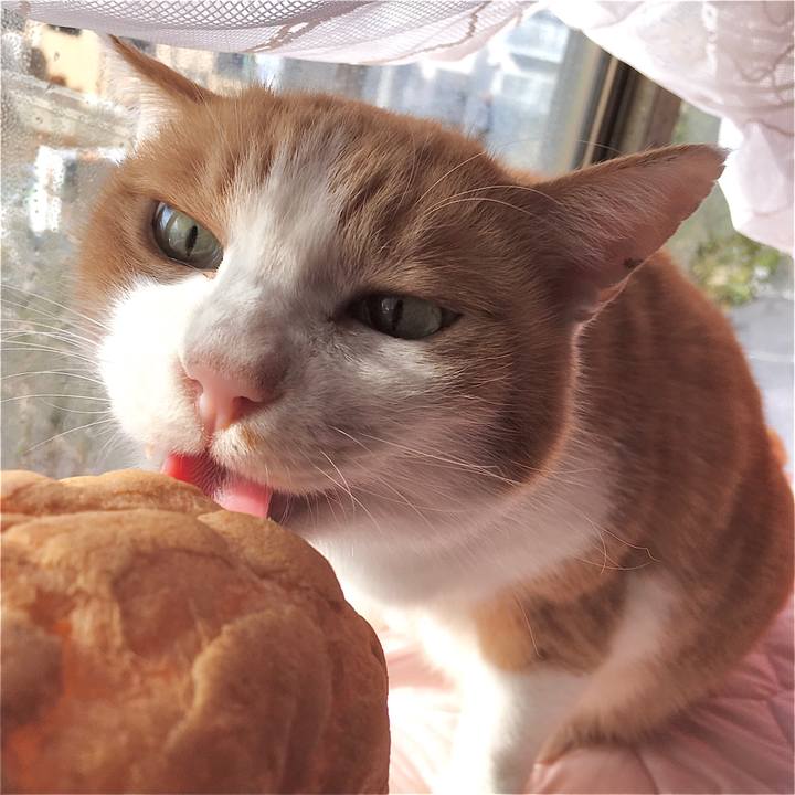 F09517c4 4413 47bd 8f5e edee507205f4 1577082223387