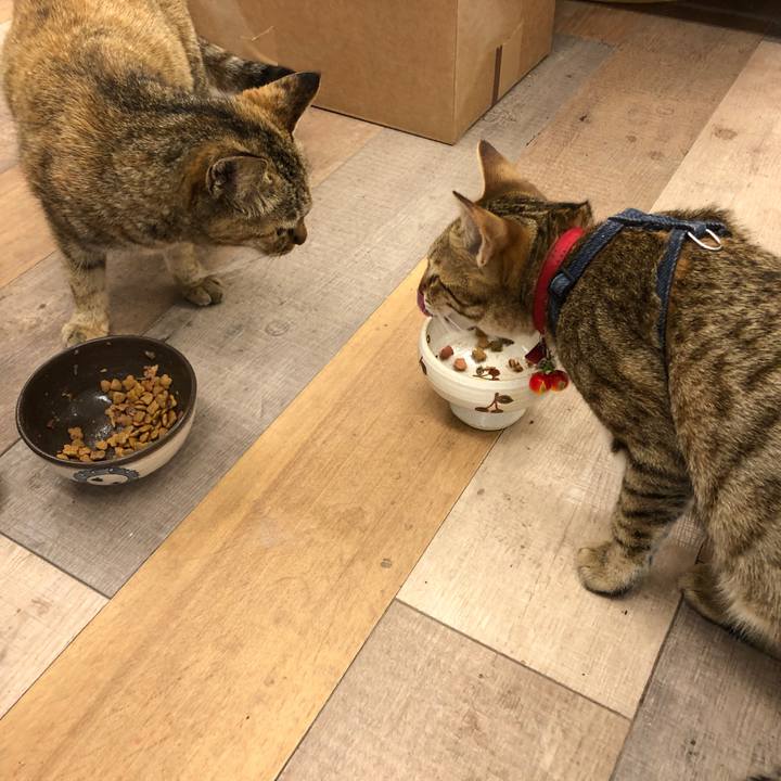 F0952493 086a 41c0 ac28 48fde03237a7 1588828020488