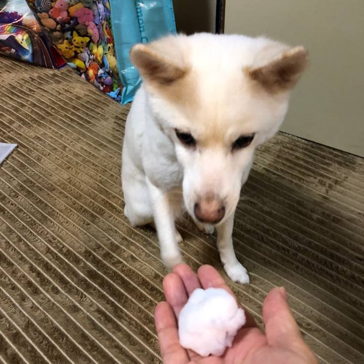 F095c62b 40b9 43d9 8f6d 181a635802a4 1674606294902