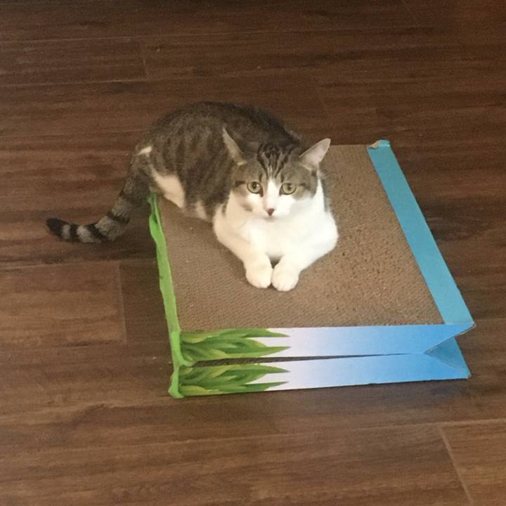 F0961898 6d8e 444c acec cc7c14f7e5ad 1659652834247