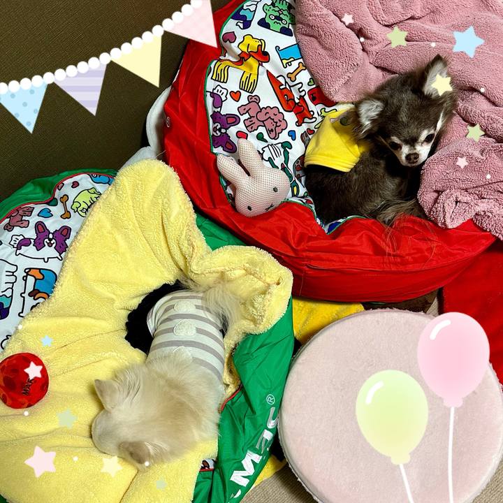 F09649b5 2253 4158 b9c7 a143d504624d 1703977475232