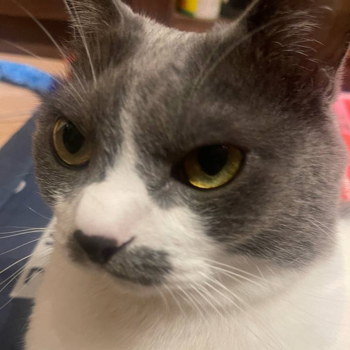 F0965ad5 1ec0 4ae3 91d4 3d3a134b1b14 1725184794300