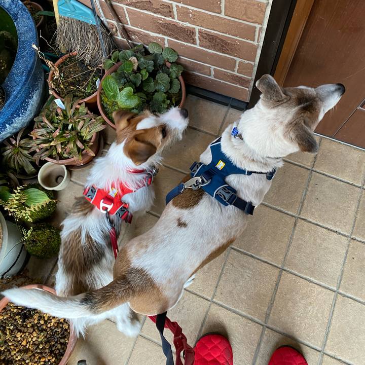 F0967d86 776c 43f8 b7a9 d7489fed21dc 1643153196031