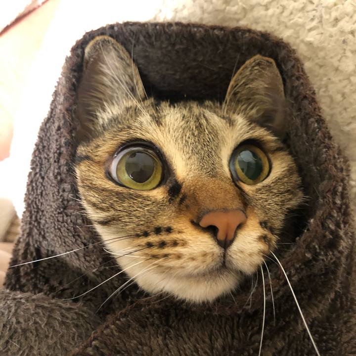 F096872b 6212 498e 8065 90427d789ad8 1594757388209