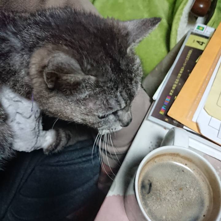 F096aca6 26e3 4a05 8a5b 879e59291c1f 1588276442978