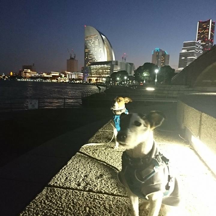 F096e430 375f 431f 9b47 e2ca8a5d6045 1547380108619