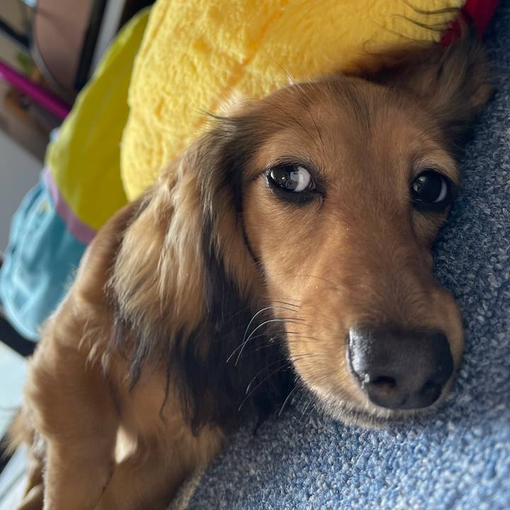 F096e98f 266c 4b98 b6fd 055f7bd6f917 1621740358424