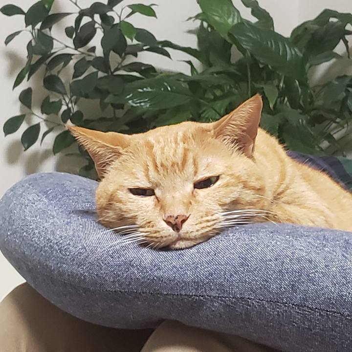 F096ecab c7ff 4457 a852 41fdc7624757 1715929182757