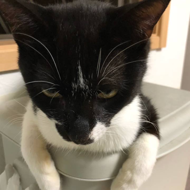 F096f458 832e 4869 bca3 d9fb97d661cb 1532062841214