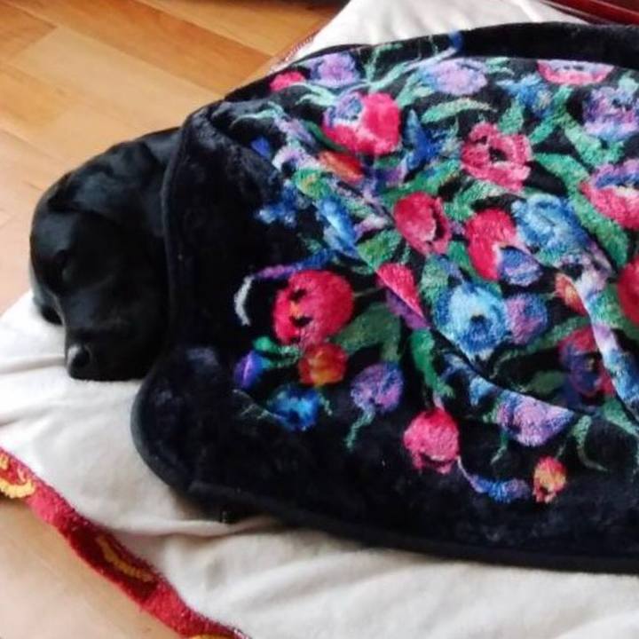 F09705f3 3891 4eb1 87ac 8ae1e2b9b708 1573442604358