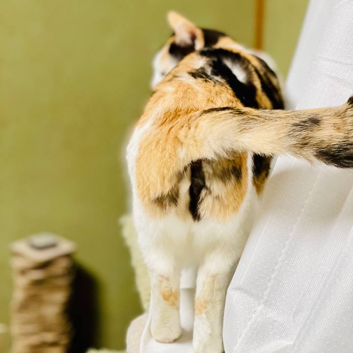 F0971d33 326c 44f9 a38b 3553eef552fb 1613954640802