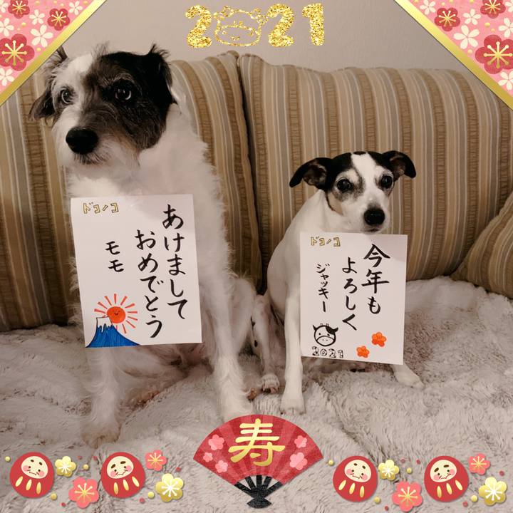 F0975d80 0cbf 46a0 a390 16e42dc97774 1609481099439