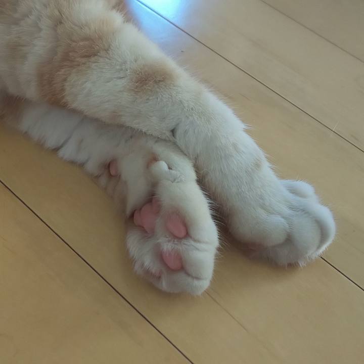 F0977736 e757 4145 a0e6 bc01ff064063 1558776739394