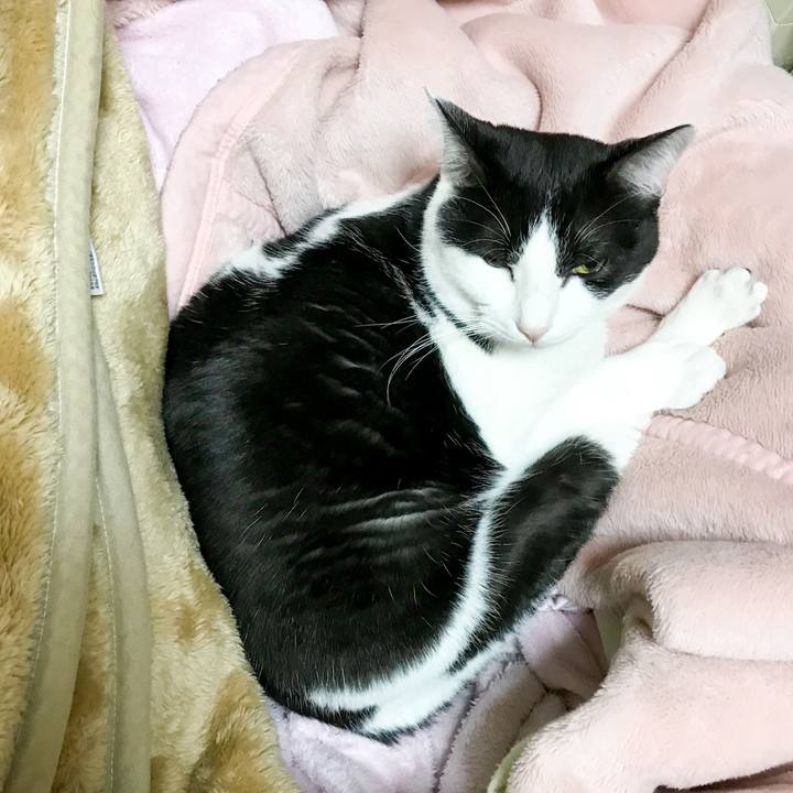 F0979654 e250 4055 80a2 8a16aed69b13 1517358215111