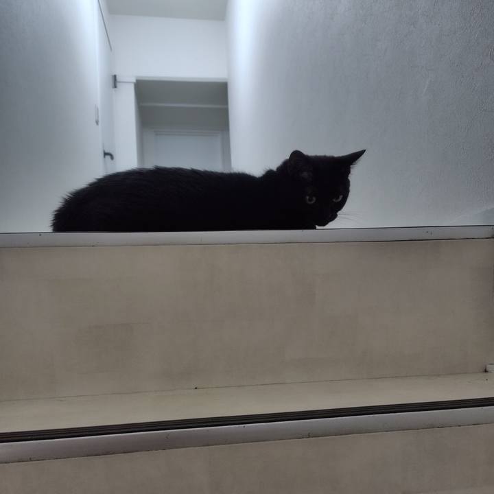 F097ae13 c991 4b4f 9ed7 37771ff22270 1721728907551