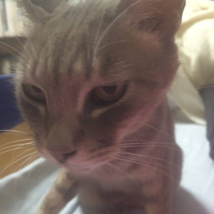 F097dab8 30e7 4ac7 a17c 9e60c084ae42 1558799743192