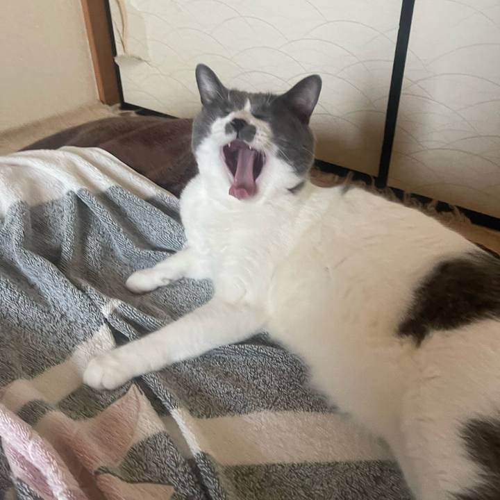 F097dc29 0328 4239 b140 fdffb912b3b2 1689632144866