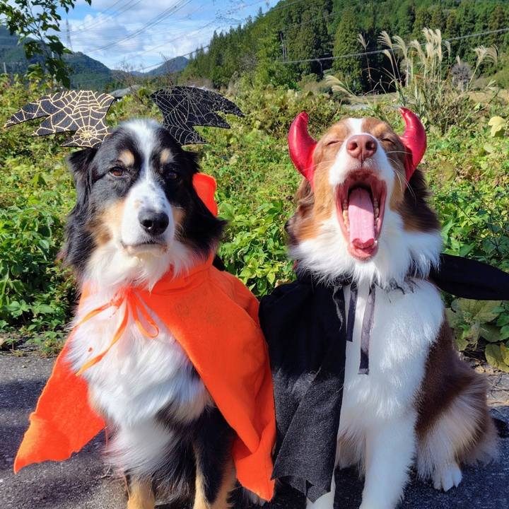 F097e230 887d 4e32 8cb8 676412d11f5b 1761908573110