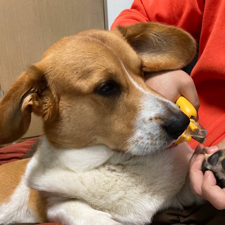 F098138e ddaa 4f04 9920 53ef6a333ce2 1679799595333