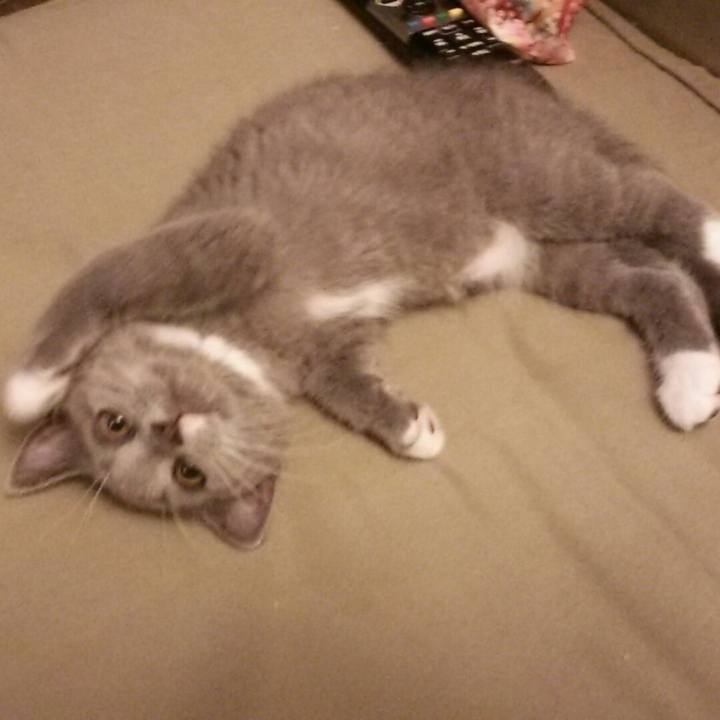 F0982618 7fbd 4f72 85af 253efad75a87 1532470668058