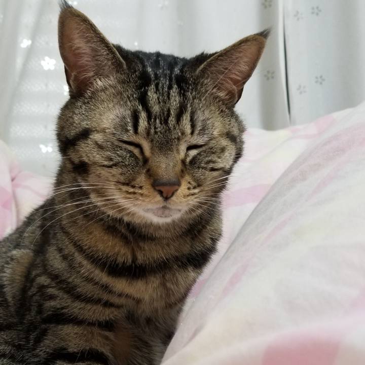 F0982e6a e217 4ba0 8cb7 8c0f45652016 1553313546298