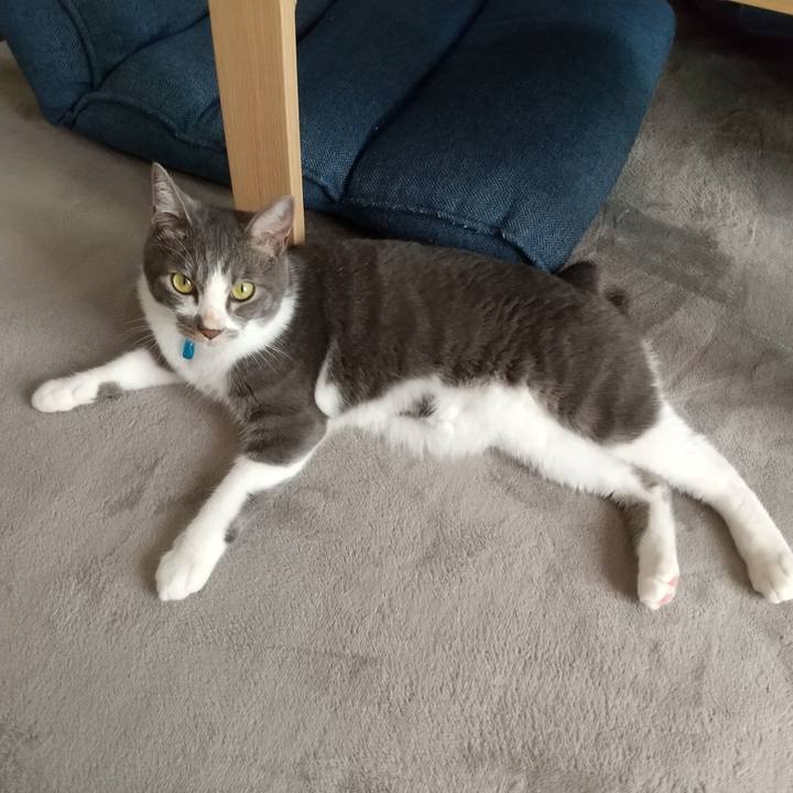 F098372f df3d 4c91 81e6 43c391dc61d3 1600135950599