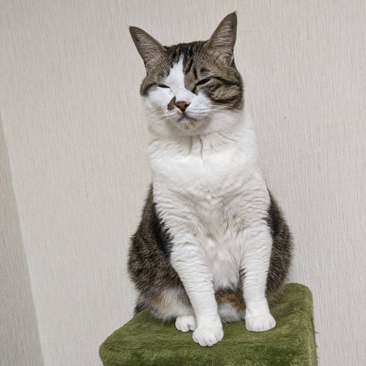 F0984692 1470 4998 8e88 ba0d410f87ad 1669931024068