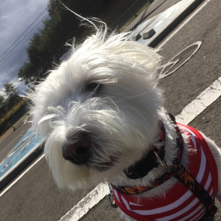 F0985c1d 35c4 4e4f 8065 a015303381c0 1573838608044