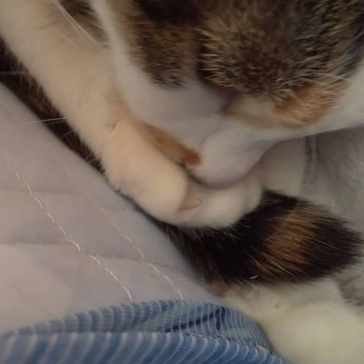 F0985df8 3628 4fb3 99b9 ac73786380da 1666393614437