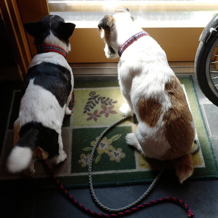 F0987bcd 36c4 474d b31e 40cbf8dc6555 1561005290349